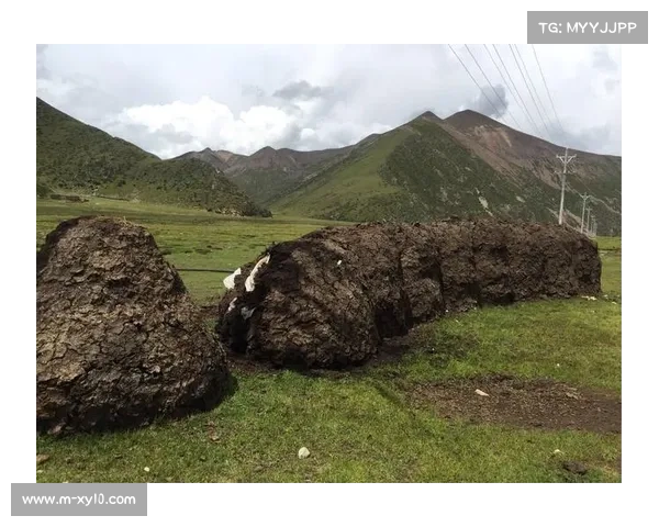 贝林厄姆:从英伦到伊比利亚的适应与挑战 贝林厄姆:从英伦到伊比利亚的适应与挑战