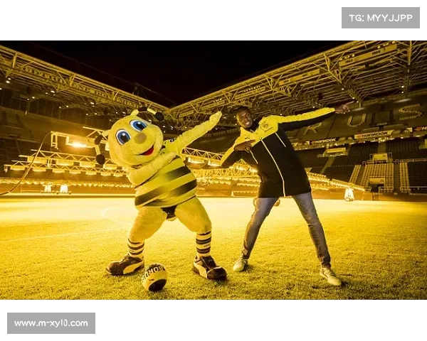 小学生足球训练营结业典礼，小球星获职业俱乐部试训